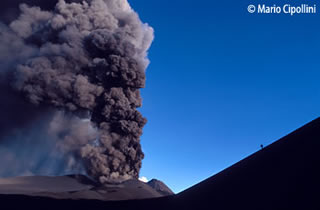 Immagine articolo Fucine Mute