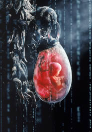 Immagine articolo Fucine Mute