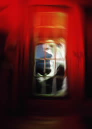 Immagine articolo Fucine Mute