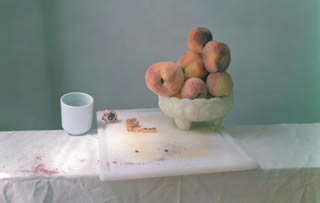 Immagine articolo Fucine Mute