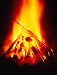 Immagine articolo Fucine Mute