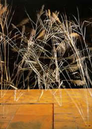 Immagine articolo Fucine Mute