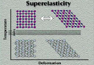 Immagine articolo Fucine Mute