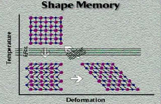 Immagine articolo Fucine Mute
