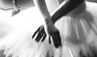 Immagine articolo Fucine Mute