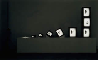 NAM JUNE PAIK, Egg Grows, 1984-89