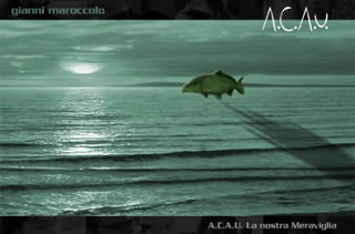 Immagine articolo Fucine Mute