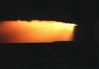 Immagine articolo Fucine Mute