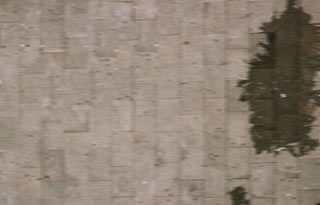 Immagine articolo Fucine Mute