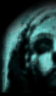 Immagine articolo Fucine Mute