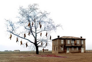 Immagine articolo Fucine Mute