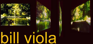 Bill Viola, 
