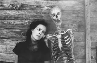 Immagine articolo Fucine Mute