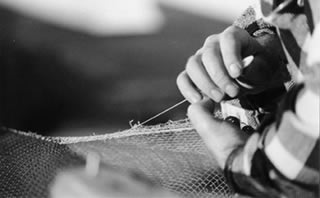 Immagine articolo Fucine Mute