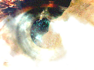 Immagine articolo Fucine Mute