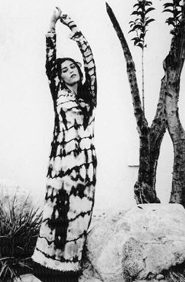 Immagine articolo Fucine Mute