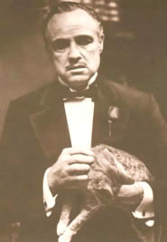 Immagine articolo Fucine Mute