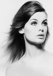 Immagine articolo Fucine Mute