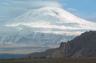 Immagine articolo Fucine Mute