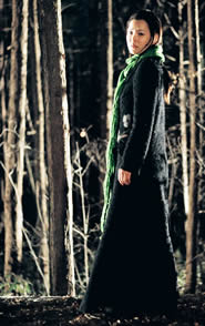 Immagine articolo Fucine Mute