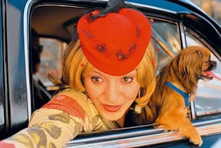 La vita è un miracolo, 2005