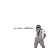 Immagine articolo Fucine Mute