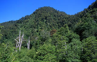Foto di Paolo Ghiotto Marin