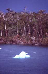 Foto di Paolo Ghiotto Marin