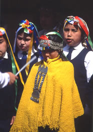 Foto di Paolo Ghiotto Marin