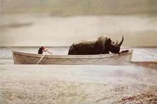 Immagine articolo Fucine Mute