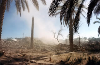 Immagine articolo Fucine Mute