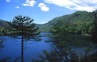 Immagine articolo Fucine Mute