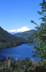 Immagine articolo Fucine Mute