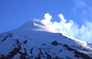 Immagine articolo Fucine Mute