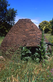 Immagine articolo Fucine Mute