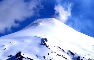 Immagine articolo Fucine Mute