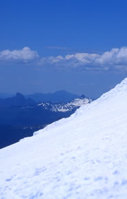 Immagine articolo Fucine Mute