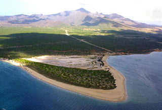 Immagine articolo Fucine Mute