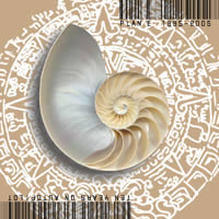 Immagine articolo Fucine Mute