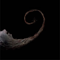 Immagine articolo Fucine Mute