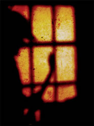 Immagine articolo Fucine Mute