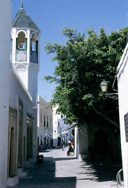 Immagine articolo Fucine Mute