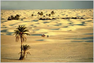 Immagine articolo Fucine Mute