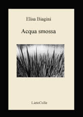 Immagine articolo Fucine Mute