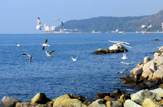 Immagine articolo Fucine Mute