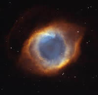 Immagine articolo Fucine Mute