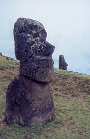 Immagine articolo Fucine Mute