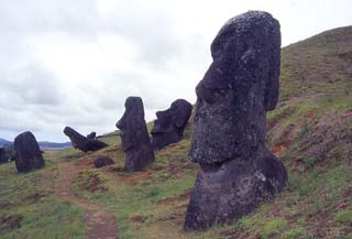 Immagine articolo Fucine Mute