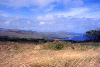 Immagine articolo Fucine Mute