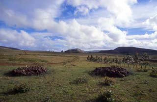 Immagine articolo Fucine Mute